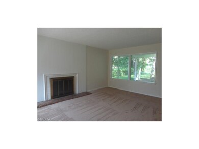 Spacious living room with woodburning fireplace fo