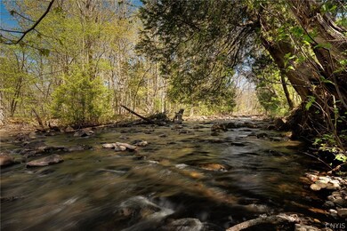 Blanchard Creek flows into Indian River framing th