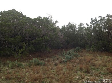 222 County Road 244, Hondo, TX 78861 - photo 5