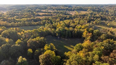 0 Sawyers Cove Rd unit 25373983, Calera, AL 35040 - photo 3