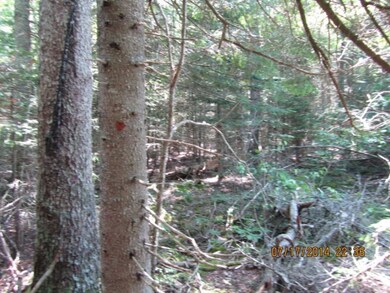 3 Roque Bluffs Rd, Roque Bluffs, ME 04654 - photo 2