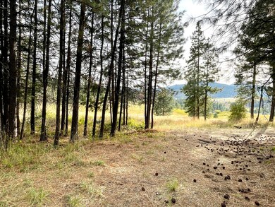 1617 U S 395, Chewelah, WA - photo 6