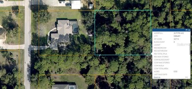 32 Fyfe Ave, Debary, FL 32713 - photo 6