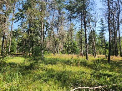 VL W Hb Road (Trail 6545), Baldwin, MI 49304 - photo 4