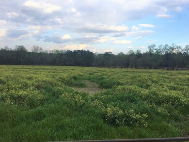 00 Pierce Chapel Rd, Cairo, GA 39828 - photo 3