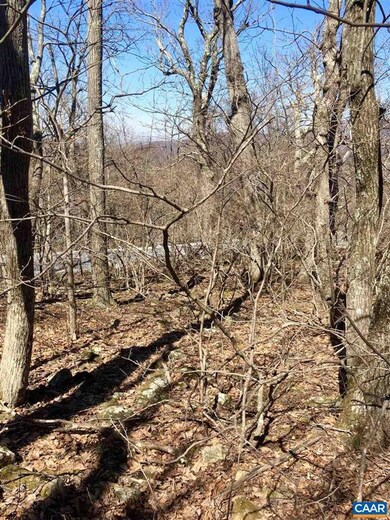 28 Pedlars Edge Dr, Rockfish, VA 22967 - photo 3