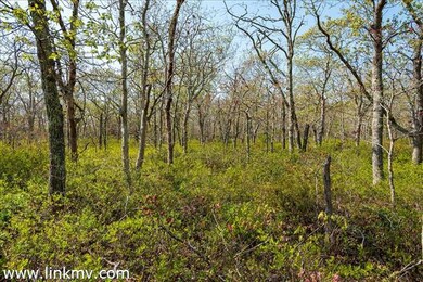 10 Quampache Lane (Lot 2 - Portion of Lot 3b), Edgartown, MA 02539 - photo 3