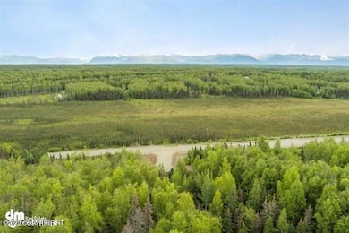 2325 N Skye Cir, Houston, AK 99694 - photo 2