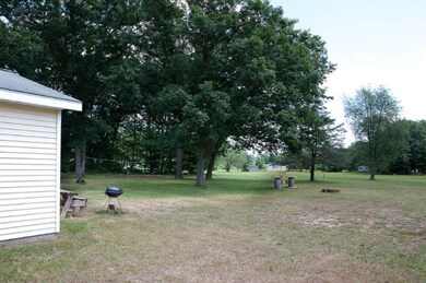 11158 N Bingham Ave, Bitely, MI 49309 - photo 3