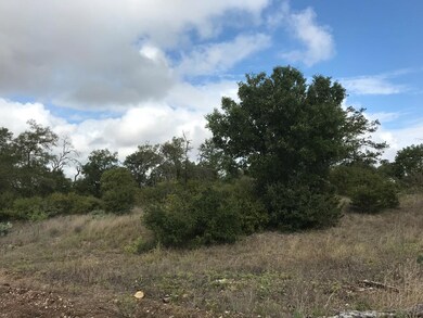 4625 S State Highway 16, Fredericksburg, TX 78624 - photo 2