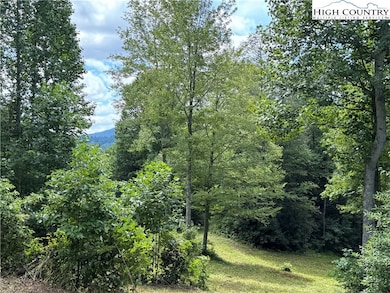 TBD Bryan Davis Rd, Creston, NC 28615 - photo 3