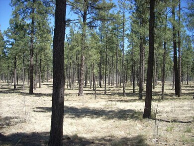 2763 Canyon Ridge Rd  (7)