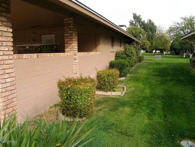 11d  front side yard