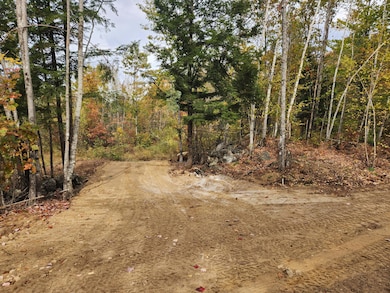 Lot C Fern Way, Hartford, ME 04220 - photo 3