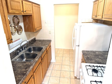 8440 Skokie Blvd unit 103, Skokie, IL 60077 - photo 7