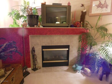 Gas Fireplace