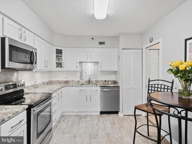 Skyline Square North and South unit 1309 S, Falls Church, VA 22041 - photo 3