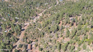 92 W Ralls Drive -- unit 92, Strawberry, AZ 85544 - photo 6