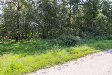 TBD Mossyknoll Dr, Plantersville, TX 77363 - photo 3