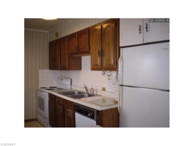 Kitchen wood cabibets appliances linolium floor  e