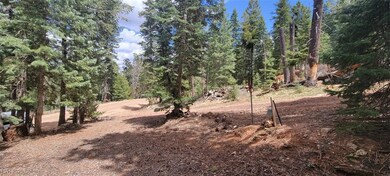 1660 E Beech Craft Dr, Duck Creek Village, UT 84762 - photo 2