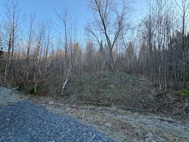 M5 L46D Black Bear Ave, Upper Frenchville, ME 04745 - photo 5