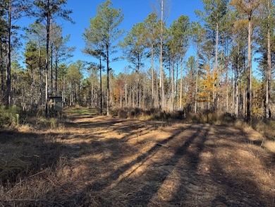 00 Mississippi 9, Bruce, MS 38915 - photo 3