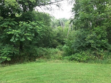 View looking north showing privacy of wooded area
