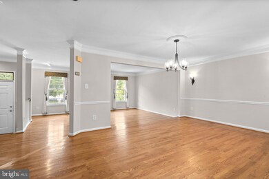 5902 Bloomingdale Terrace, Rockville, MD 20852 - photo 6