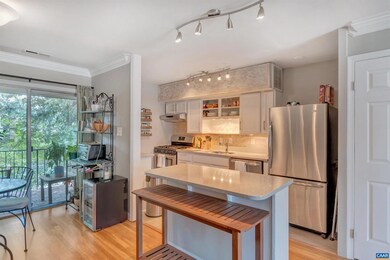 2421 Barracks Place unit 4, Charlottesville, VA 22901 - photo 4