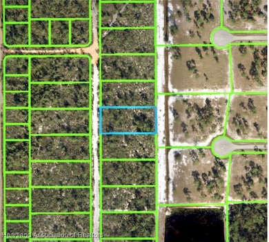 6410 Olga Ave, Sebring, FL 33872 - photo 2