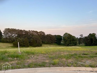 10 Lot 10 Rolling Meadows, Brookland, AR 72417 - photo 7