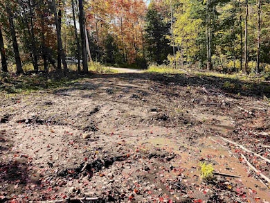 00 Duck Pond Rd, West Glover, VT 05822 - photo 2