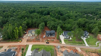 DJI_0263