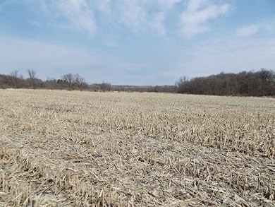 51+/- Acres Cth 0 Rd, Mineral Point, WI 53565 - photo 4
