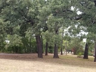 2023 E Dove Rd, Southlake, TX 76092 - photo 7