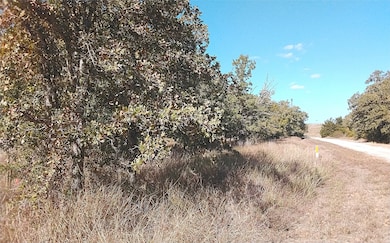 2565 5 Mile Creek Rd, Flatonia, TX 78941 - photo 3