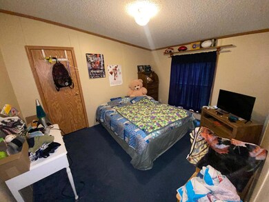 207 S Main St, Fithian, IL 61844 - photo 4