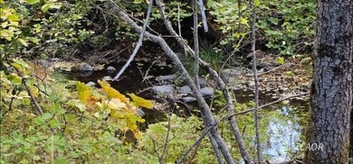 2971 13 Dips Rd, Hayfork, CA 96041 - photo 4