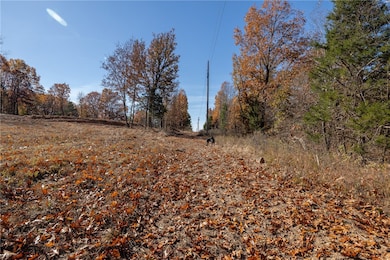 14416 Truelove Rd, West Fork, AR 72774 - photo 7