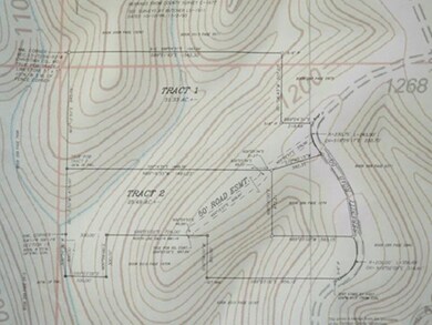 Survey Overlay- Topo