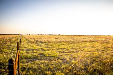 16235 Fm 107, Moody, TX 76557 - photo 3