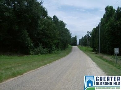 0 County Road 329 unit 733369, Wedowee, AL 36278 - photo 2