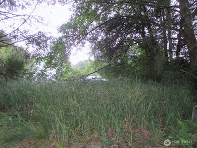 111 Olympic View Ave NE, Ocean Shores, WA 98569 - photo 5