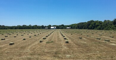 15825 County Road 191, Alvin, TX 77511 - photo 5