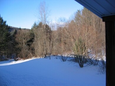 28 Mountain Common Rd unit 28, Moretown, VT 05660 - photo 4