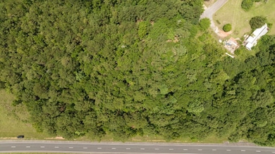 Undefined Scott Rd, Ellerslie, GA 31807 - photo 4