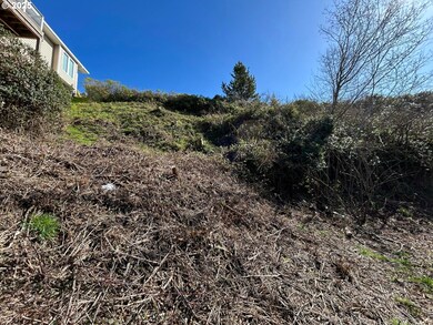 0 Ocean Ct unit 272814041, Bay City, OR 97107 - photo 6