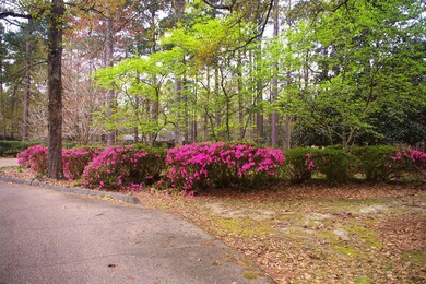 1032 Hawthorne Dr, McComb, MS 39648 - photo 2