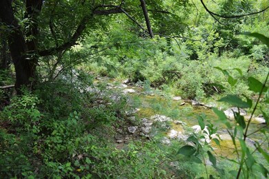 Lot 8 block 8 Westover Ln, Springtown, TX 76082 - photo 2